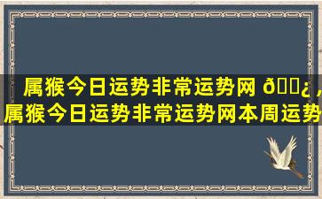 属猴今日运势非常运势网 🌿 ,属猴今日运势非常运势网本周运势